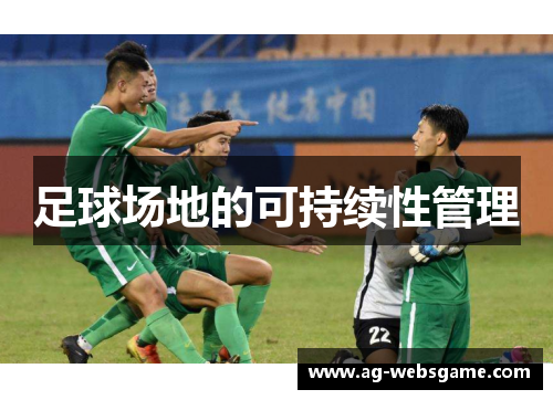 足球场地的可持续性管理